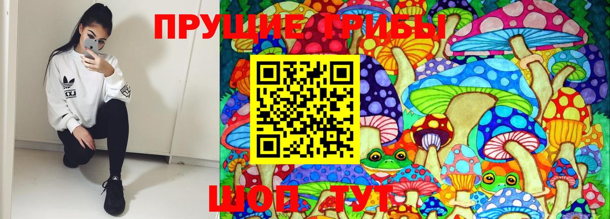 Псилоцибиновые грибы Psilocybine cubensis Троицк