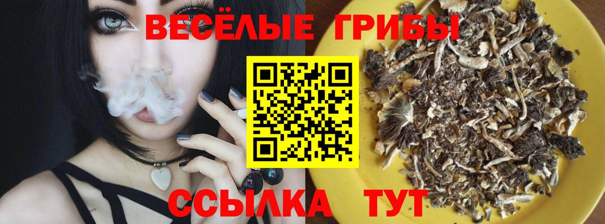 Галлюциногенные грибы Magic Shrooms  закладка  Псилоцибиновые грибы Psilocybe  Троицк  Вход с VPN 